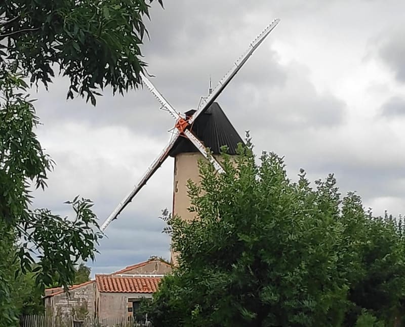 Autour de Saint-Jean-de-Monts par Sallertaine et Le Perrier - Saint-Jean-de-Monts