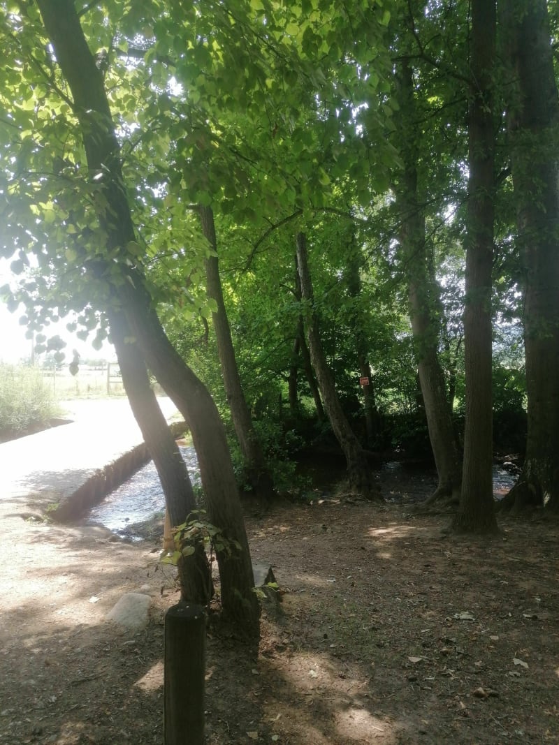 Balade en famille de Renaison à Saint-Martin de Boizy à vélo - Renaison