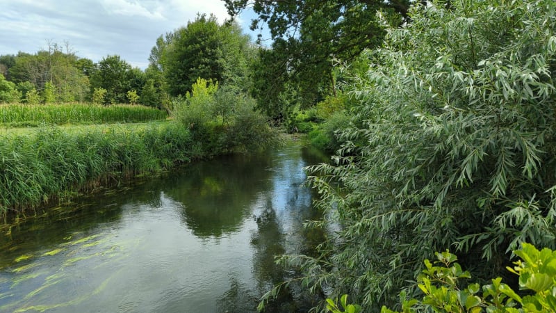 Gravière, Etang et piste des Forts - Souffelweyersheim