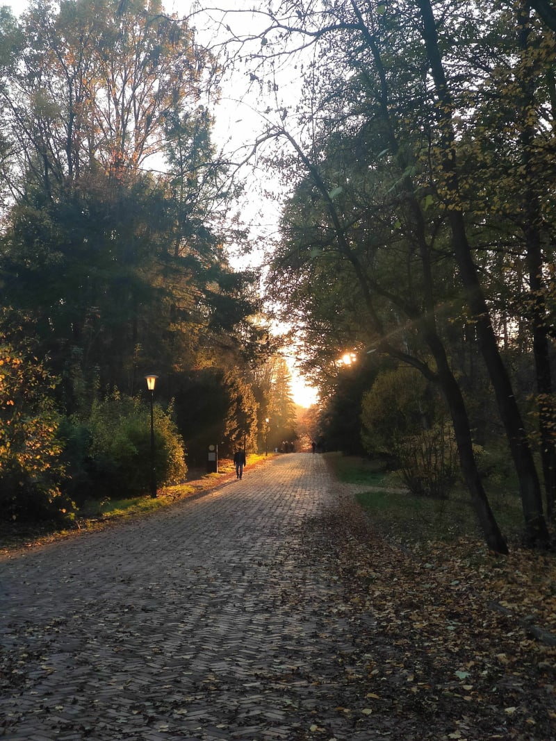 Duża pętla Park śląski - 3 stawy - Katowice