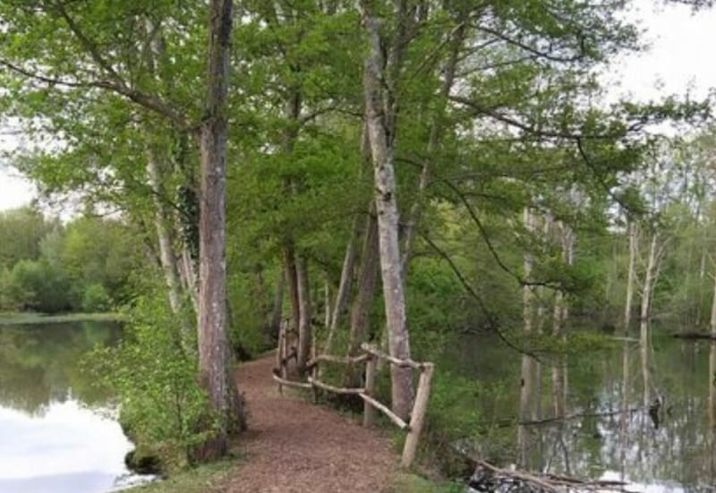 Balade VTT depuis Saint-Denis-en-Val - Saint-Denis-en-Val