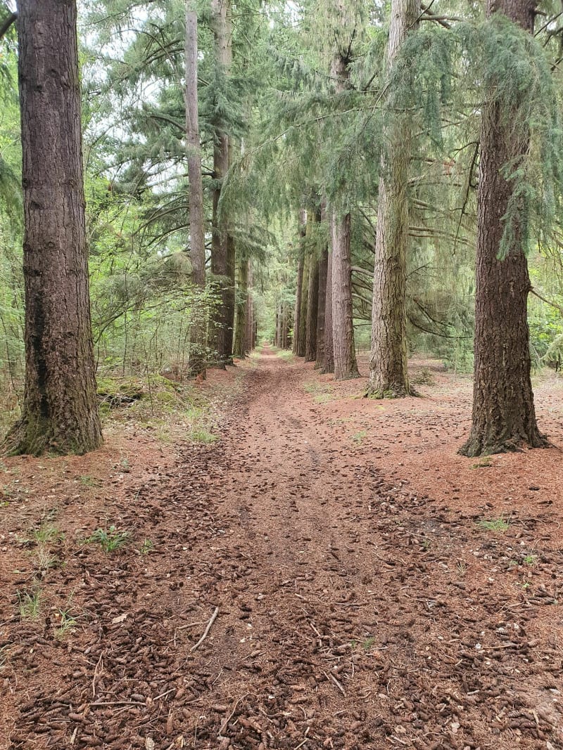 Boucle de la Seine, et forêt de Moisson - Mousseaux-sur-Seine