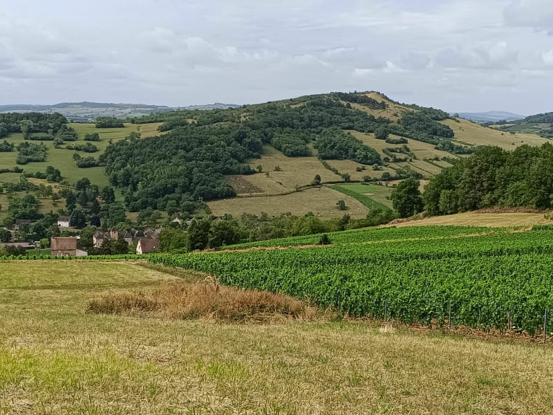 Gravel sur les hauteurs de Givry depuis Farges - Farges-lès-Chalon