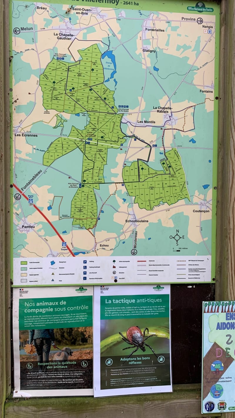 Promenade famille en forêt de Villefermoy - Fontenailles
