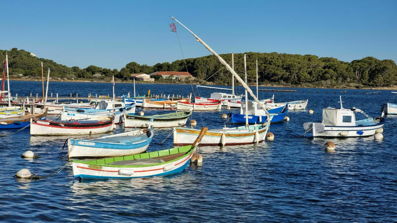 Du Brusc au Grand Gaou et la Pointe Salva - Six-Fours-les-Plages