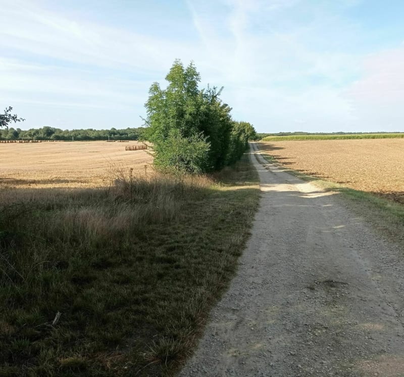 De la Varzay à Meursac - Varzay