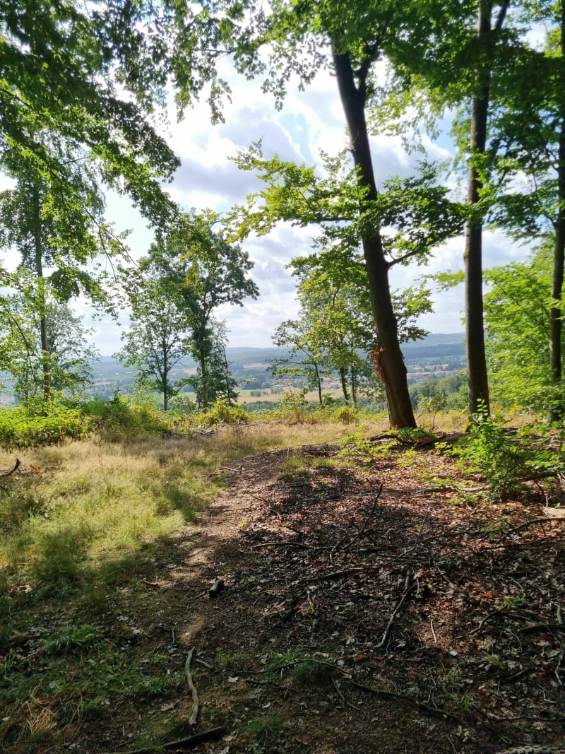 Randonnée merten - Merten
