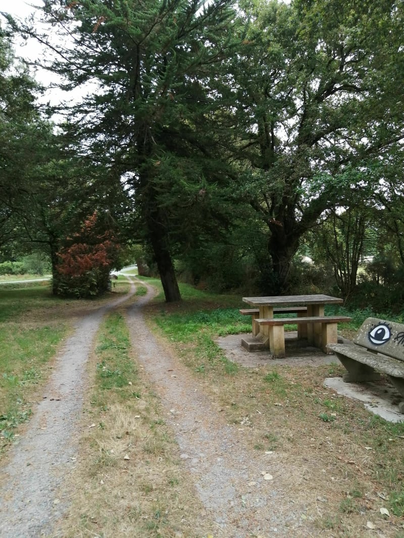 Boucles entre menhir et éoliennes - Chauve