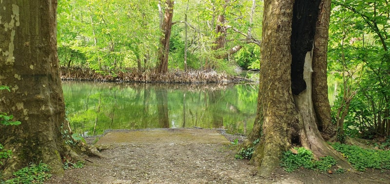 Belle balade autour du Ciran - Marcilly-en-Villette