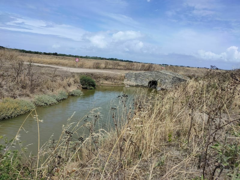 Entre dunes et marais sur l'île de Noirmoutier - L'Épine