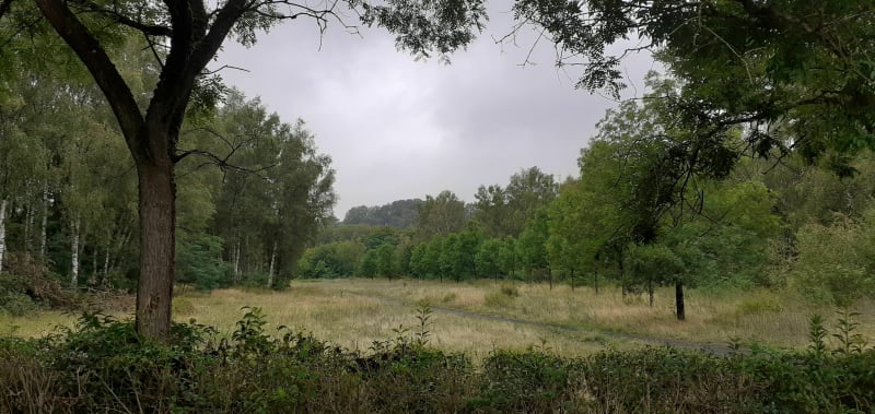 Balade en vélo vers le musée Les mineurs Wendel - Forbach
