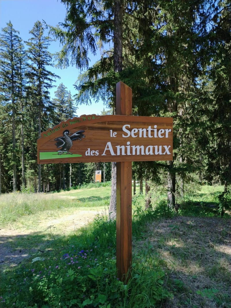 Le sentier des animaux depuis Les Allues - Les Allues