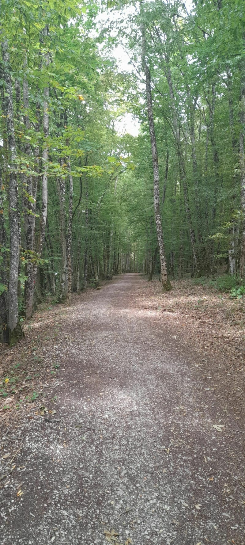 Boucle autour du lac de Charmes - Changey