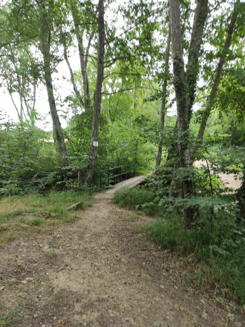 Balade sur les bords de la Couarde - Le Magny