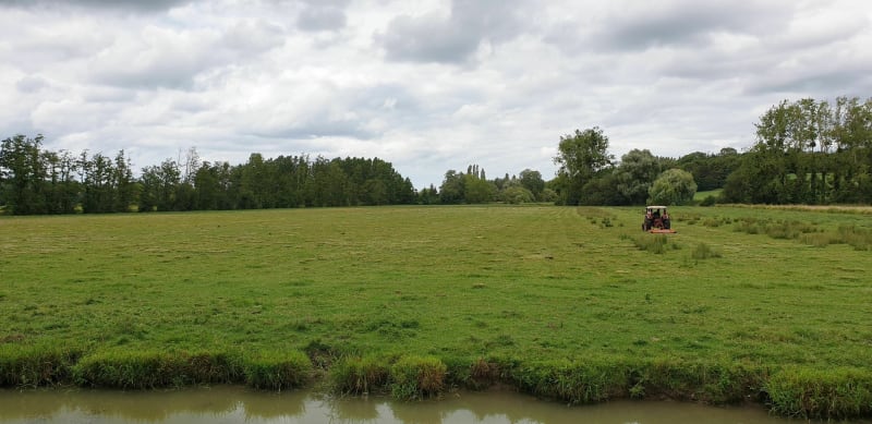 Petiville, par les Hauts Vents, entre plaine bois et marais - Petiville