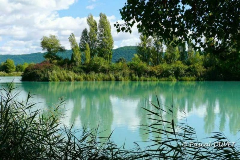 Balade matinale au Plan d'eau des Buissonnades - Oraison