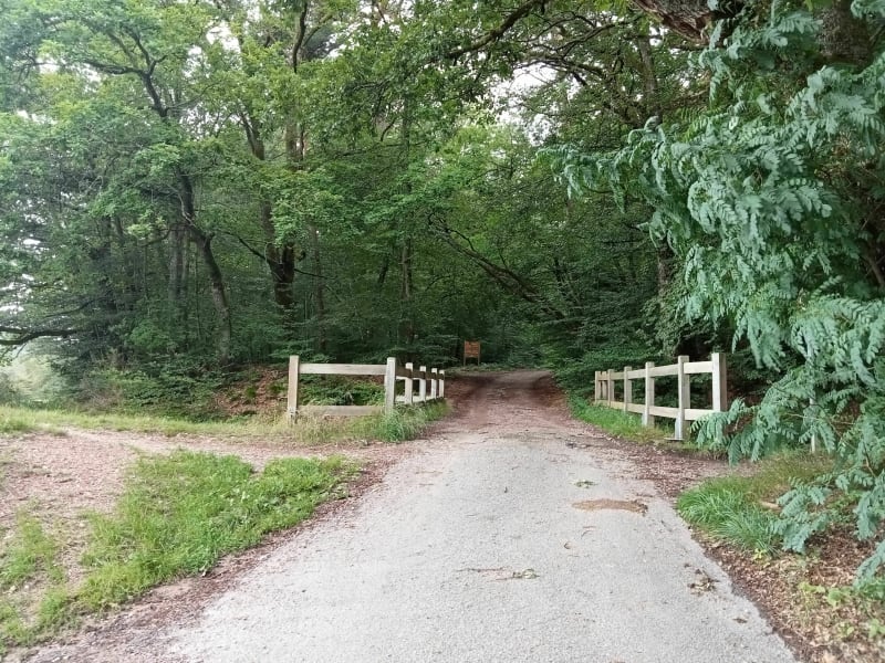 Épinal et Parc du Cours vers Tête de Bénaveau - Épinal