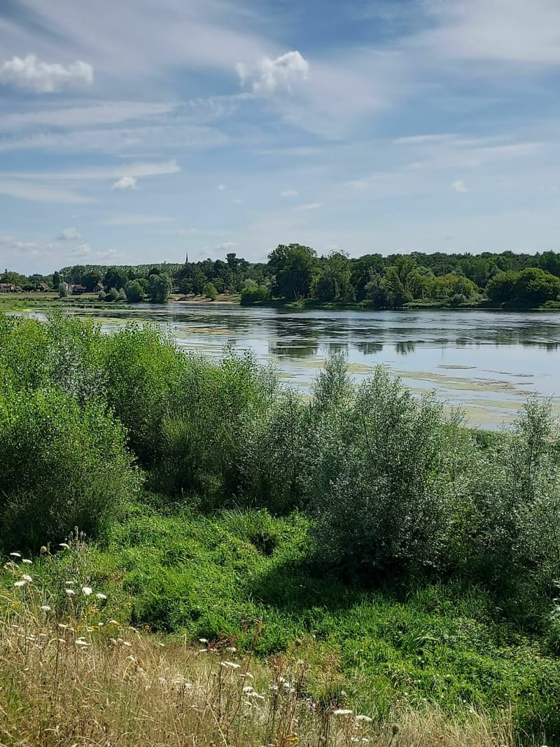 Balade entre Loire et Sologne depuis Jargeau - Jargeau