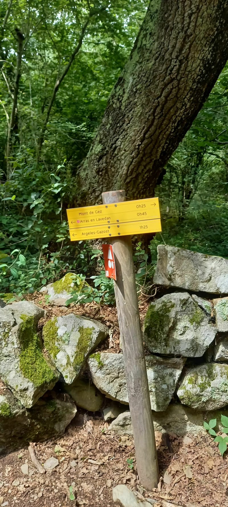 Le Mont de Gez - Arras-en-Lavedan