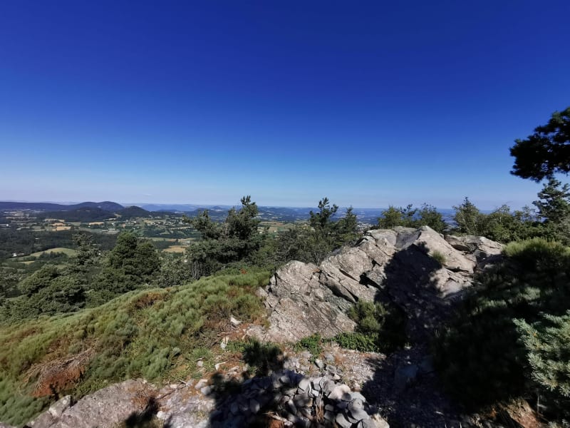 Suc des Ollières depuis la Pérvenchère - Yssingeaux