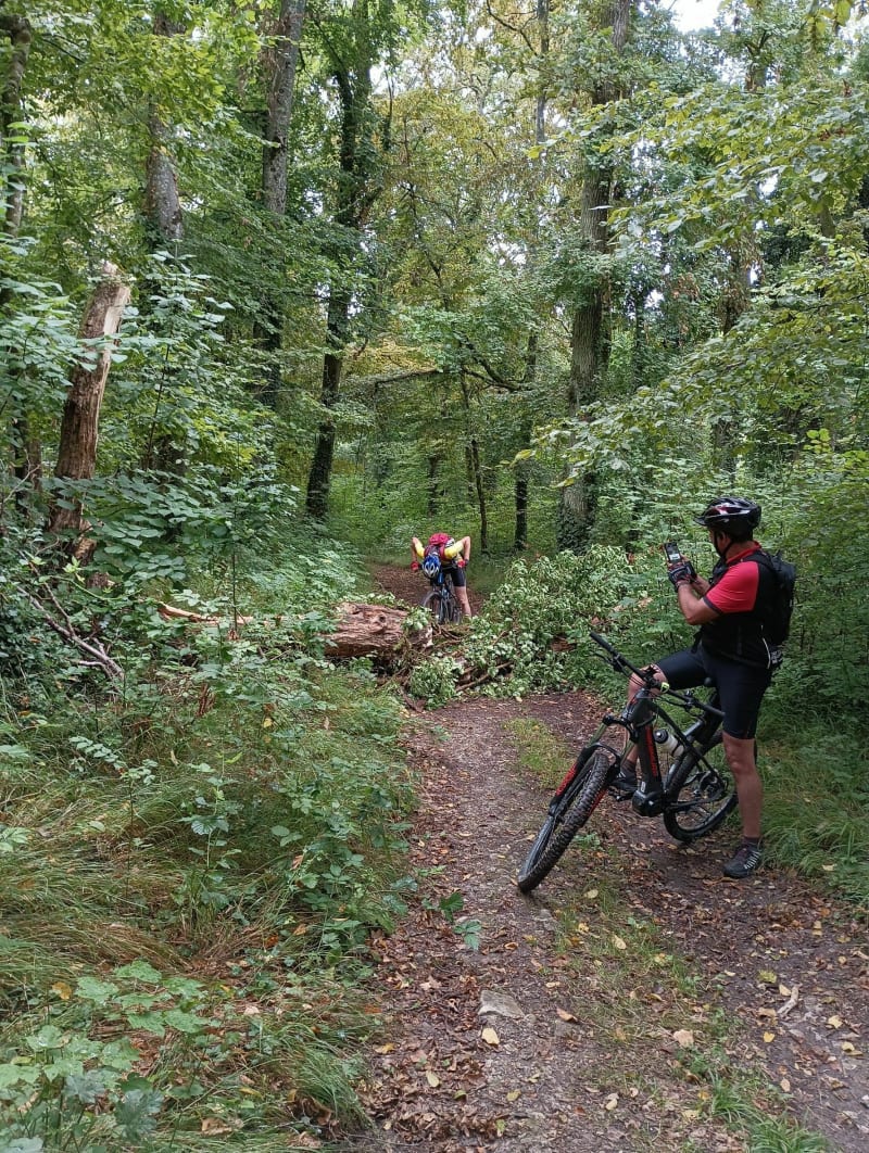 Belle Balade autour de Hochstatt - Brunstatt-Didenheim