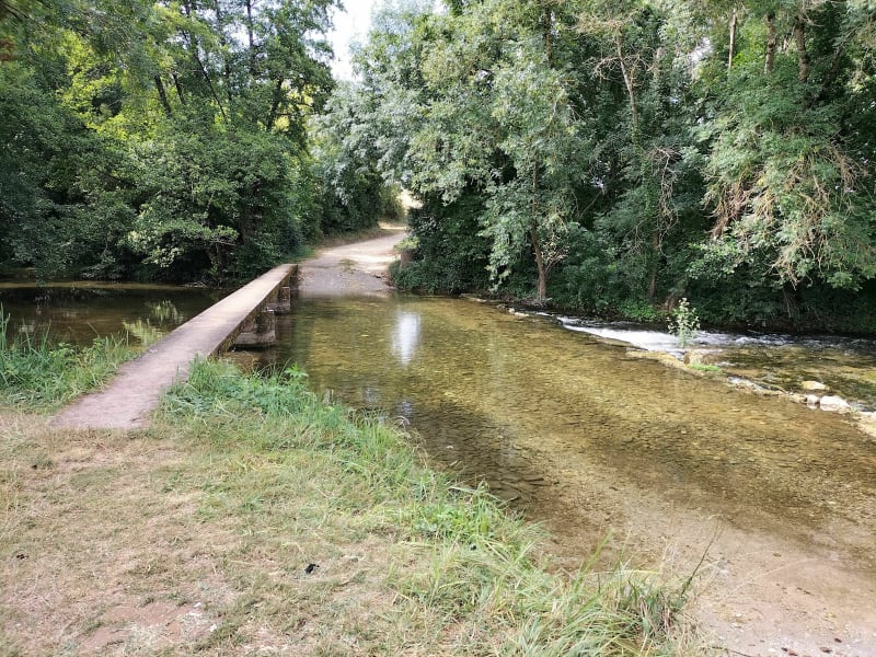 Moutonneau au bord de l'eau - Moutonneau