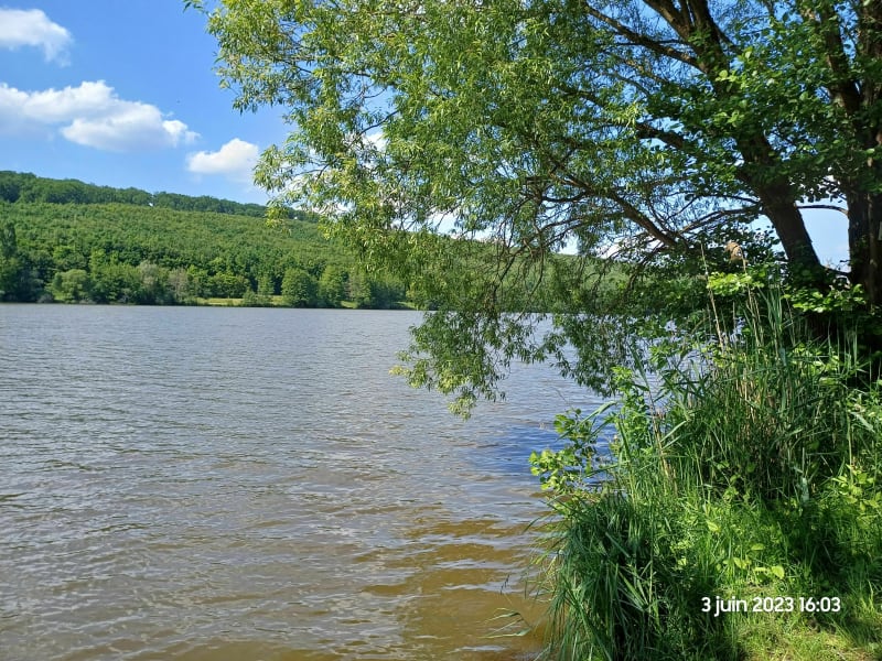 Lac de Reichshoffen - Mietesheim
