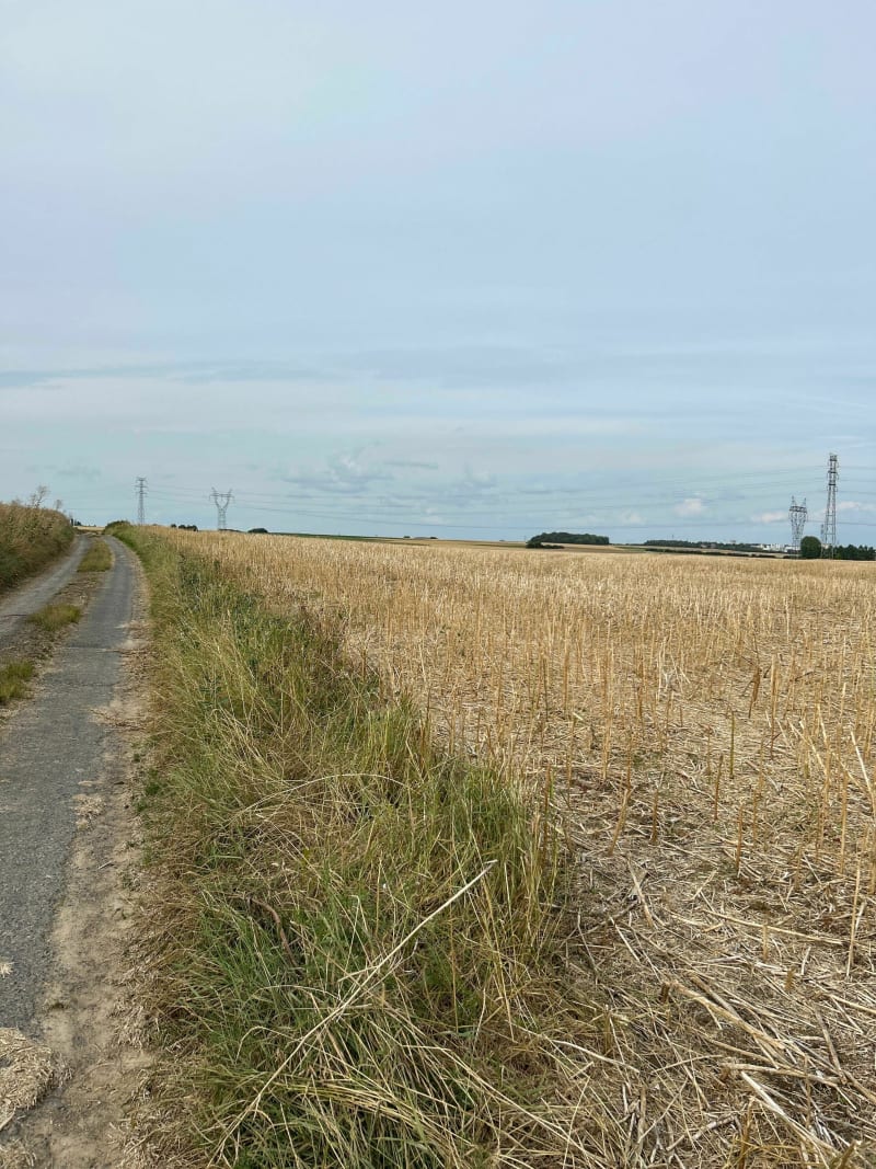 Balade du soir entre Arleux et Acheville - Arleux-en-Gohelle