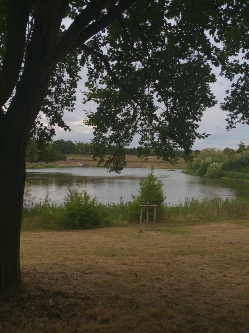 Chemins aux alentours d'Evry-Courcouronnes - Évry-Courcouronnes
