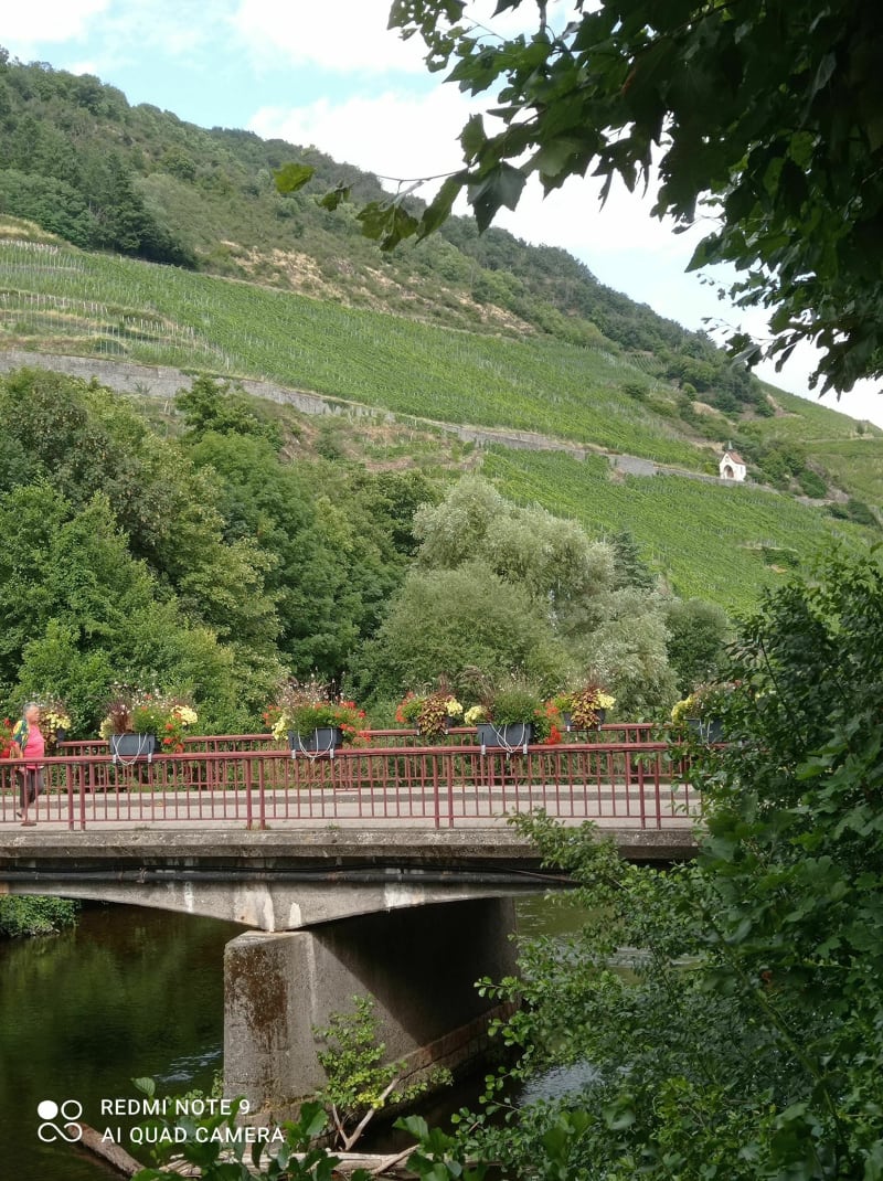 De Thann à willer sur Thur en vélo - Thann