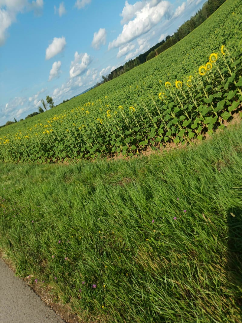 Belle boucle autour de Dompierre - Dompierre
