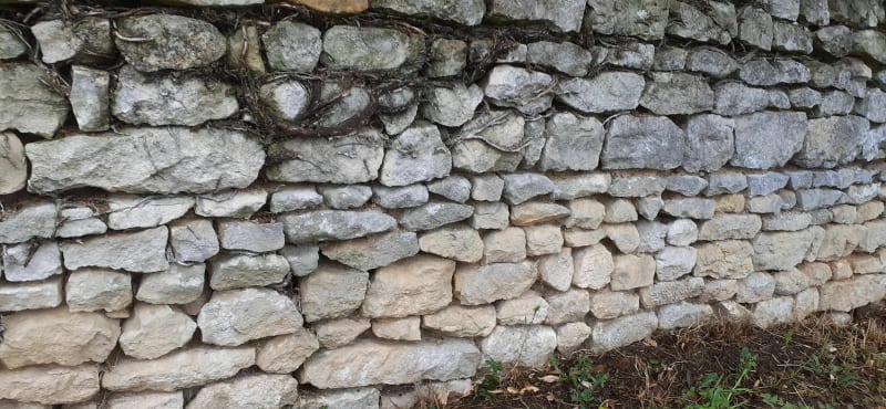 Découverte de la forêt de Mouliere et son patrimoine. - Montamisé