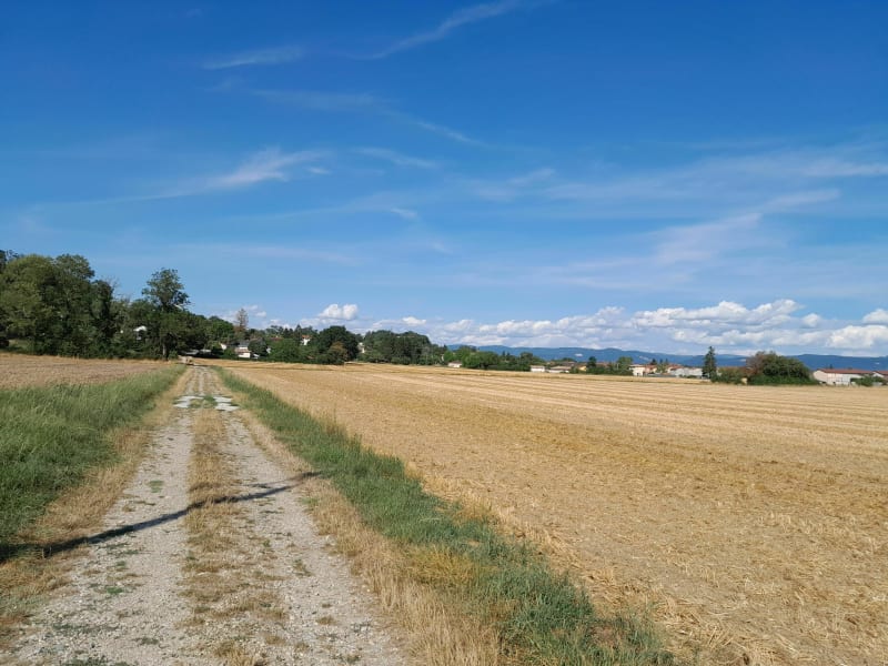 Boucle du lavoir de Chavagneux vers Rignieu le Franc - Meximieux