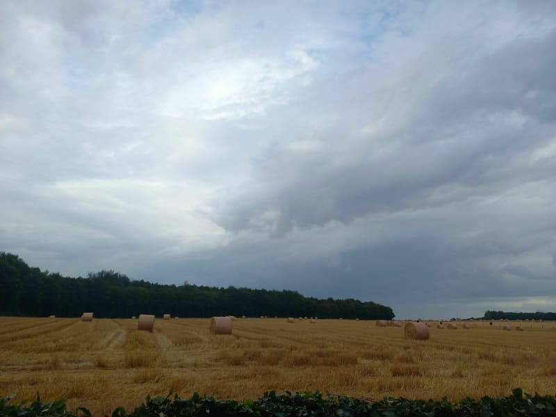 Le puy de l'Essart - Lyons-la-Forêt