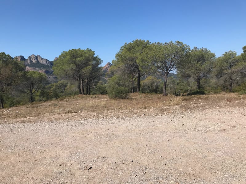 Au rythme des cigales à Roquebrune-sur-Argens - Roquebrune-sur-Argens