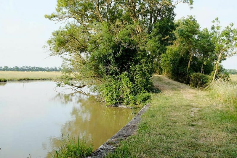 La tranche , la Grenouillère par les marais - La Tranche-sur-Mer