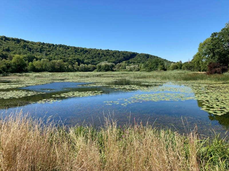 Beaux chemins et singles en forêt de Haye - Nancy