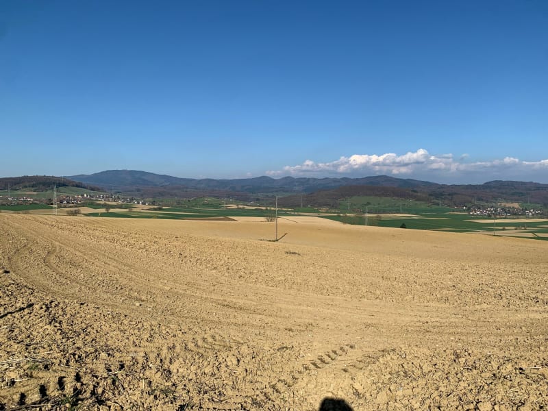 Les contre forts de Soultz-Haut-Rhin - Soultz-Haut-Rhin