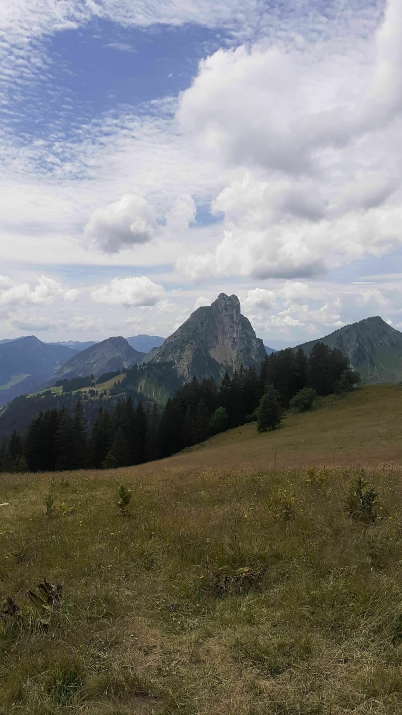 Tête de l'Avalanche - La Chapelle-d'Abondance
