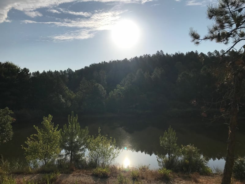 Dans les hauteurs de Roquebrune sur Argens au Col de Valdingarde - Roquebrune-sur-Argens
