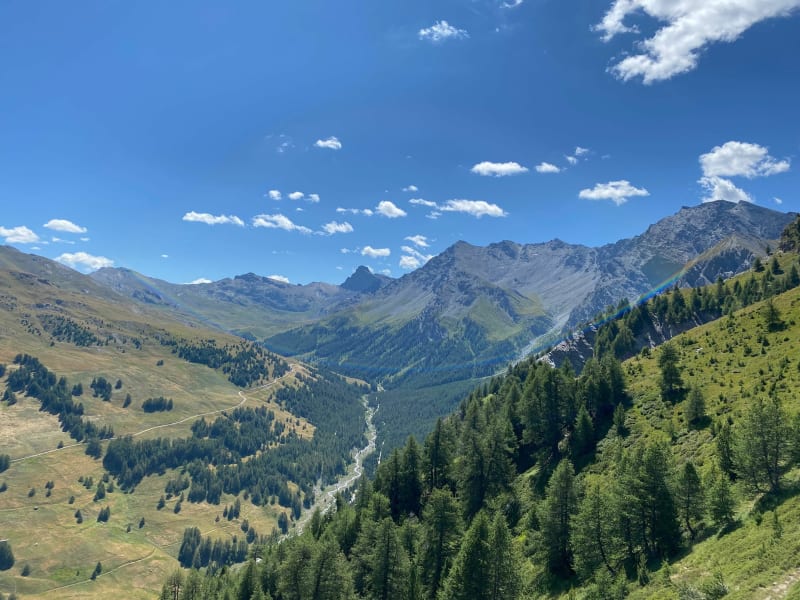 La Croix de Curlet en rando d’été au cœur des mélèzes - Saint-Véran