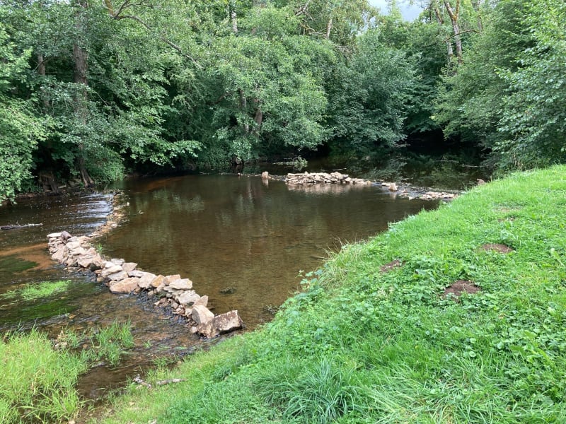 La forêt, la rivière, le Cousin, à l’ombre des arbres pour une pause - Givry