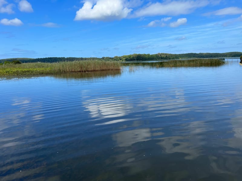Tour du Lac d'Aureilhan - Mimizan