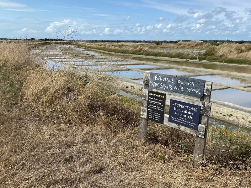Boucle du Sentier des Sauniers - Les Sables-d'Olonne