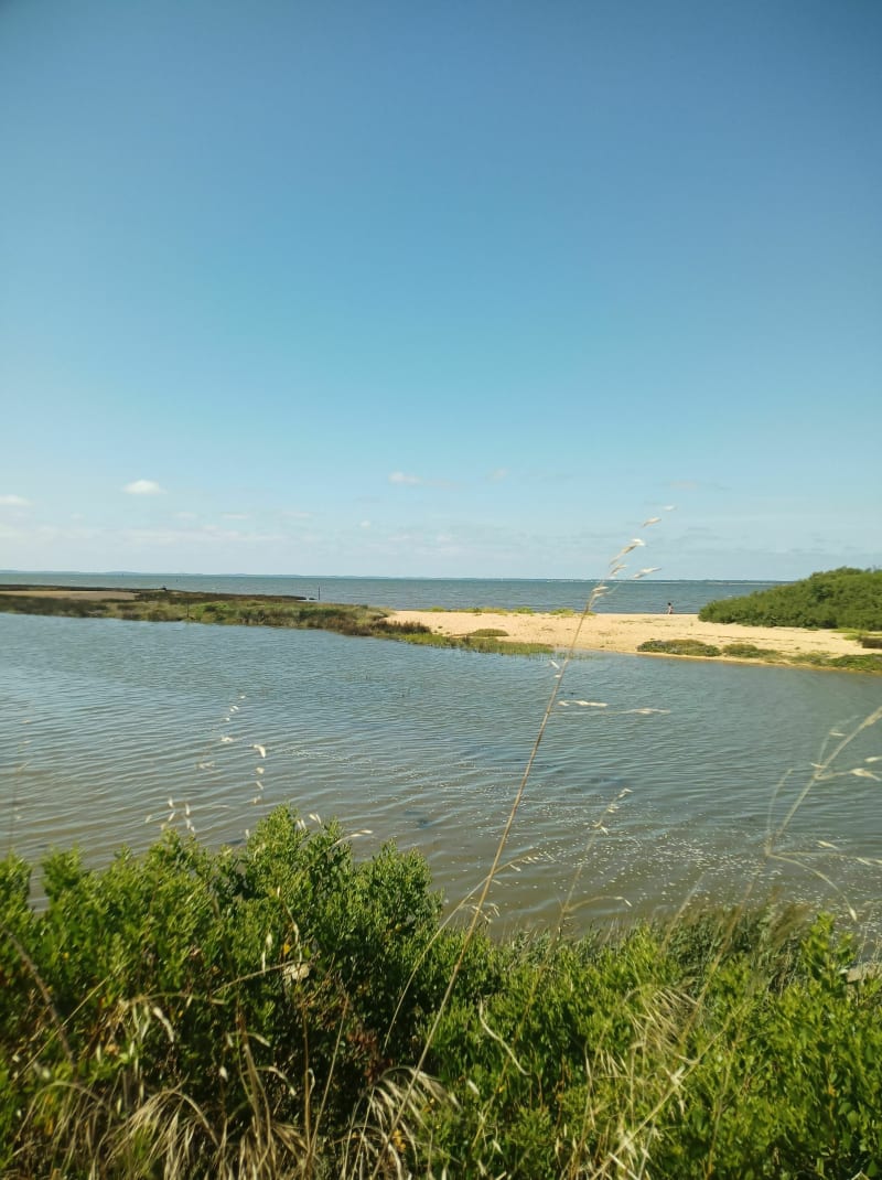 Balade entre nature et ville au Teich - Le Teich