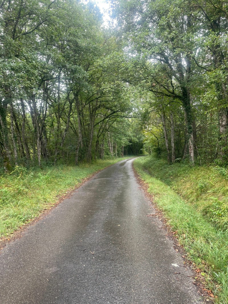 Chemins autour de Quincy par le Croisement de la St-Jean - Clarafond-Arcine