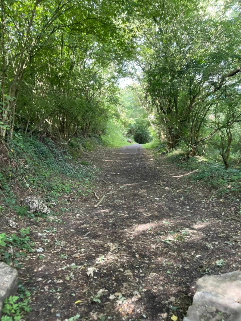 Balade entre le Villaret et Sargé-lès-le-Mans - Le Mans