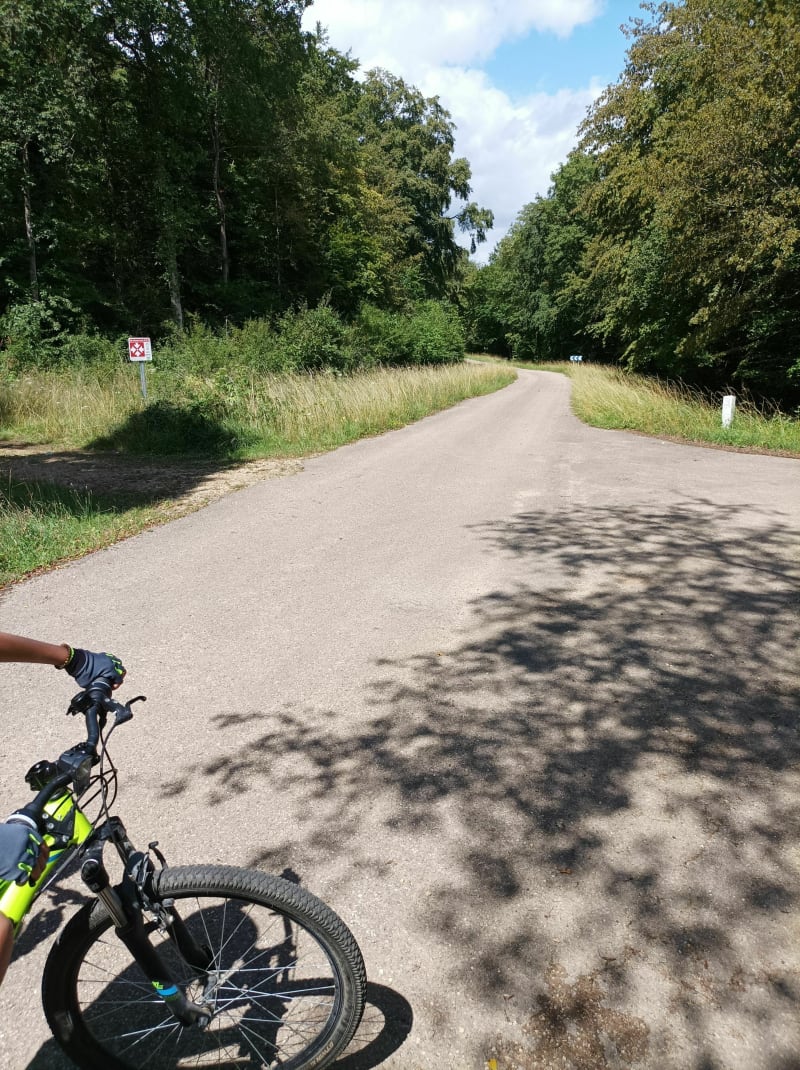Balade dans les bois de Haye entre Champigneulles et Frouard - Champigneulles