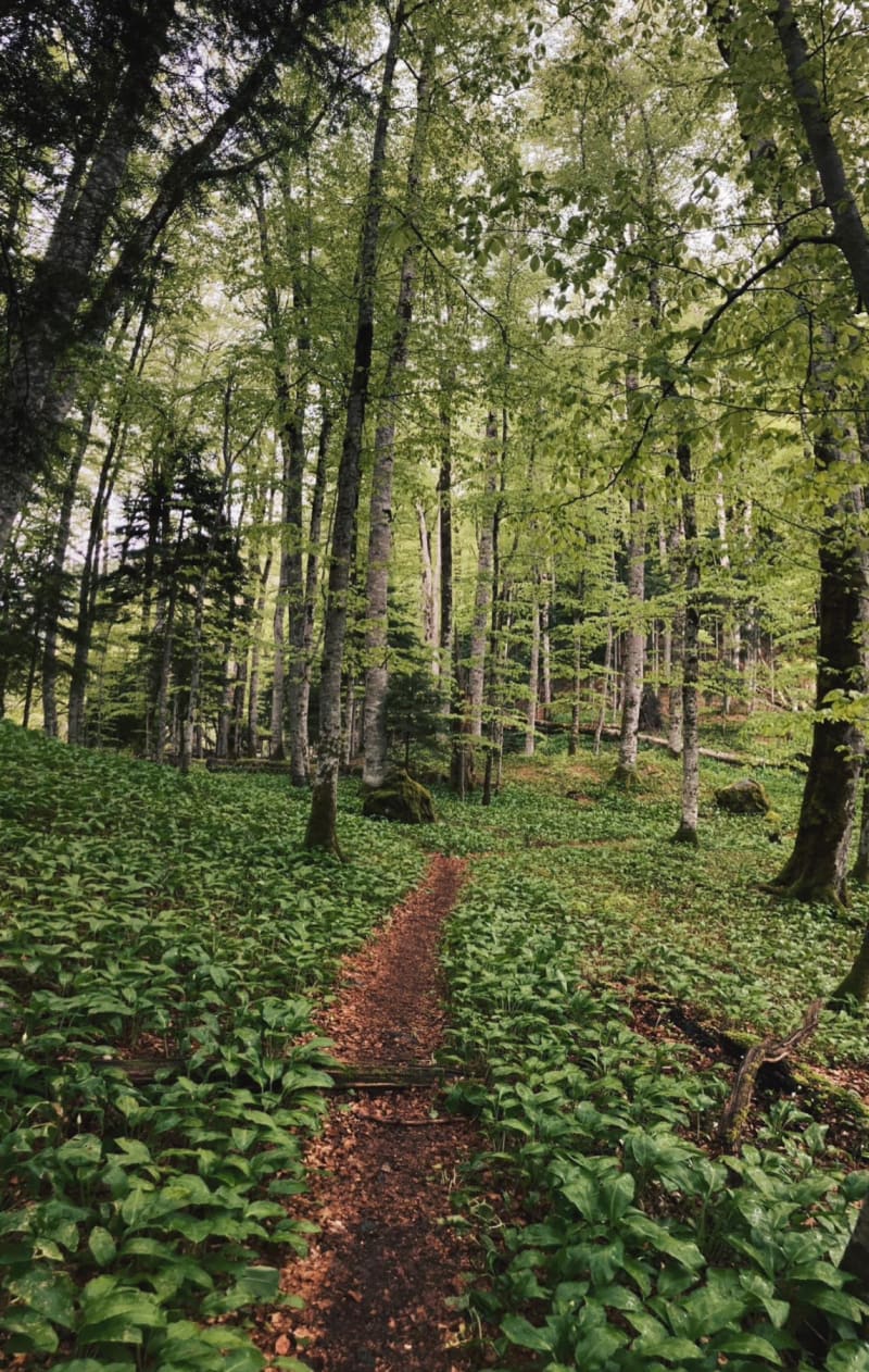 Balade en val d’Ambroise - Venansault - La Roche-sur-Yon