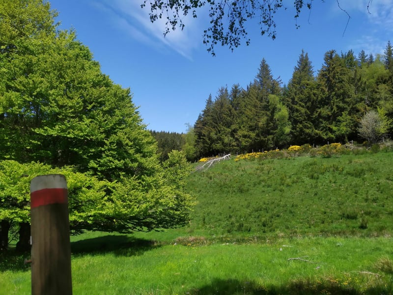 Gedeelte van de GR70, van Chasserades naar Bleymard - Mont Lozère et Goulet